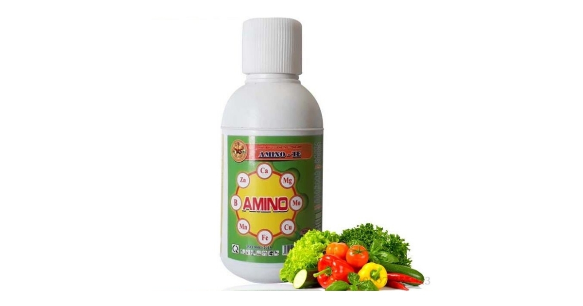 Amino Acid tổng hợp