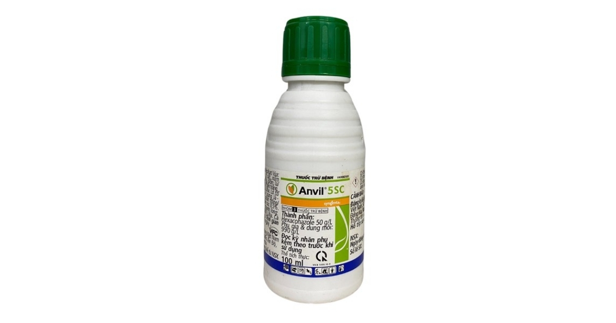 Anvil 5SC