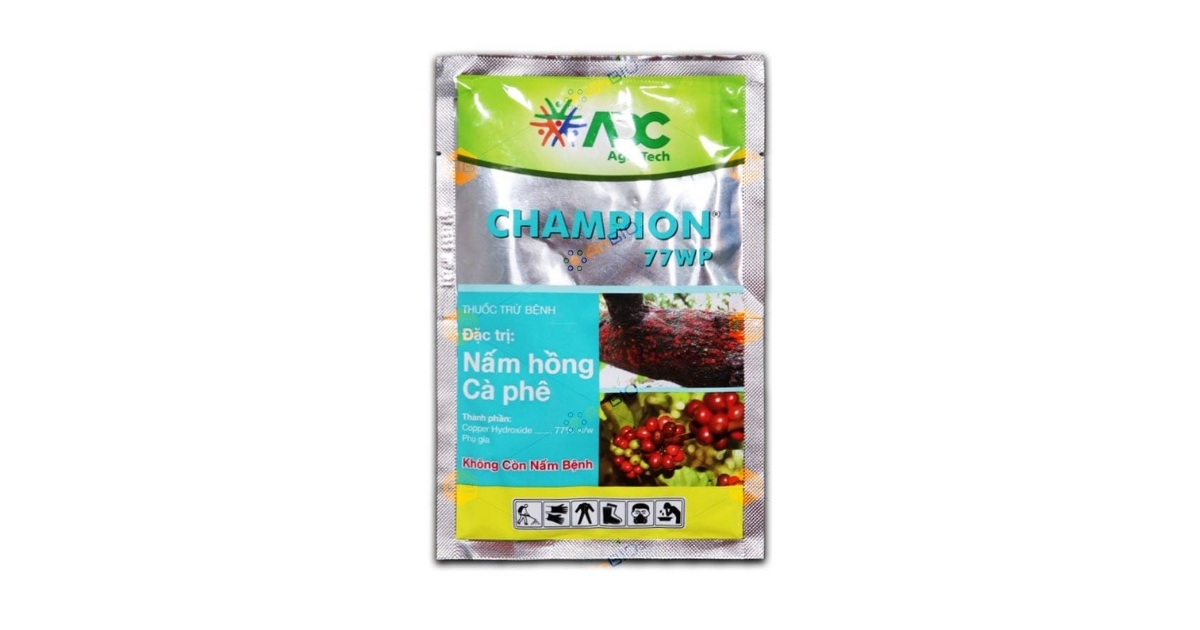 Champion 77WG