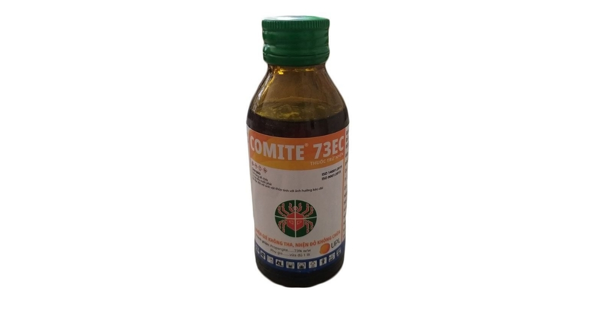 Comite 73EC