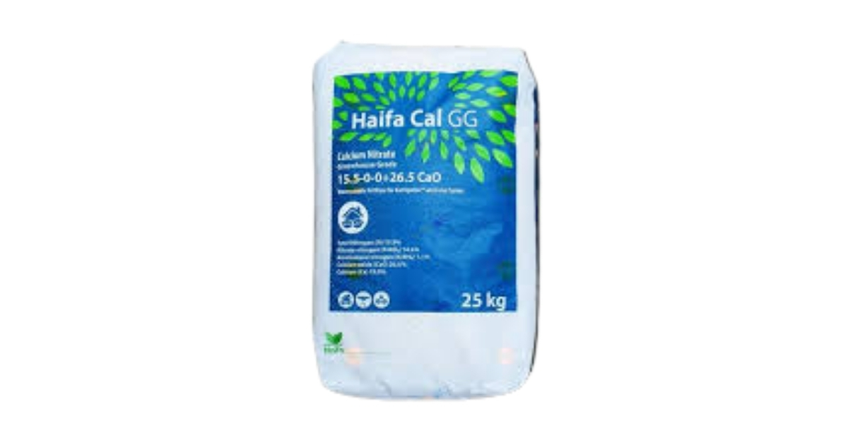 Haifa Cal