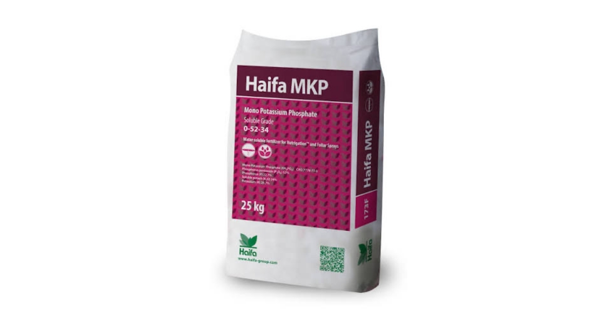Haifa MKP 0-52-34