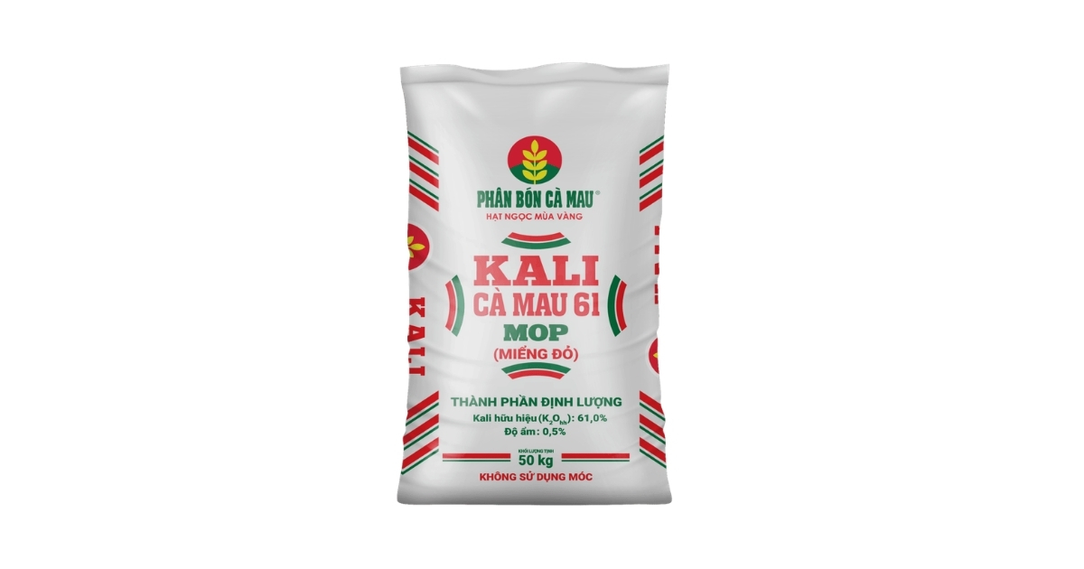 Kali Cà Mau 61 MOP