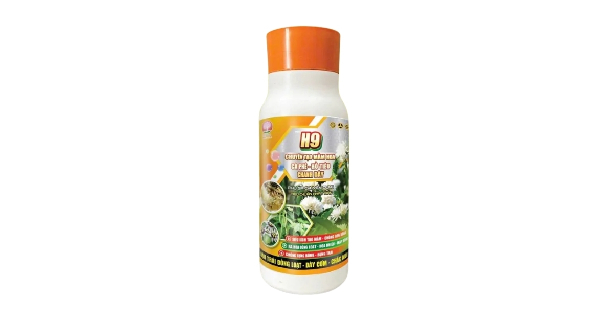 Phân bón lá H9 tạo mầm