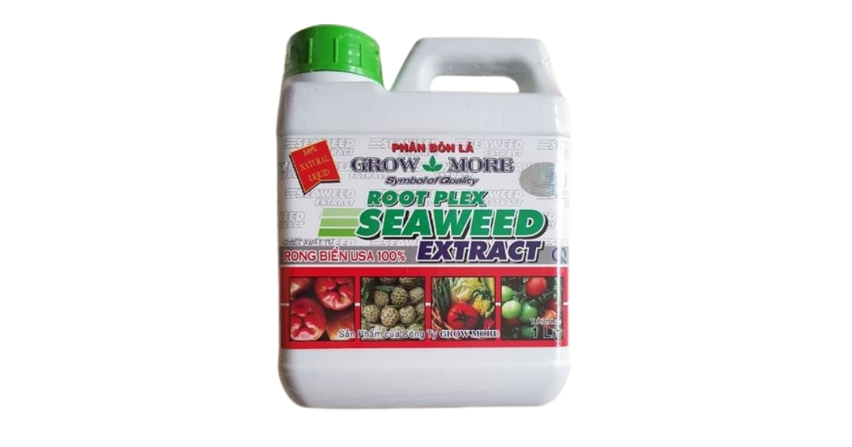 Rong biển Seaweed Extract