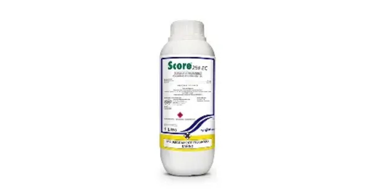 Score 250EC