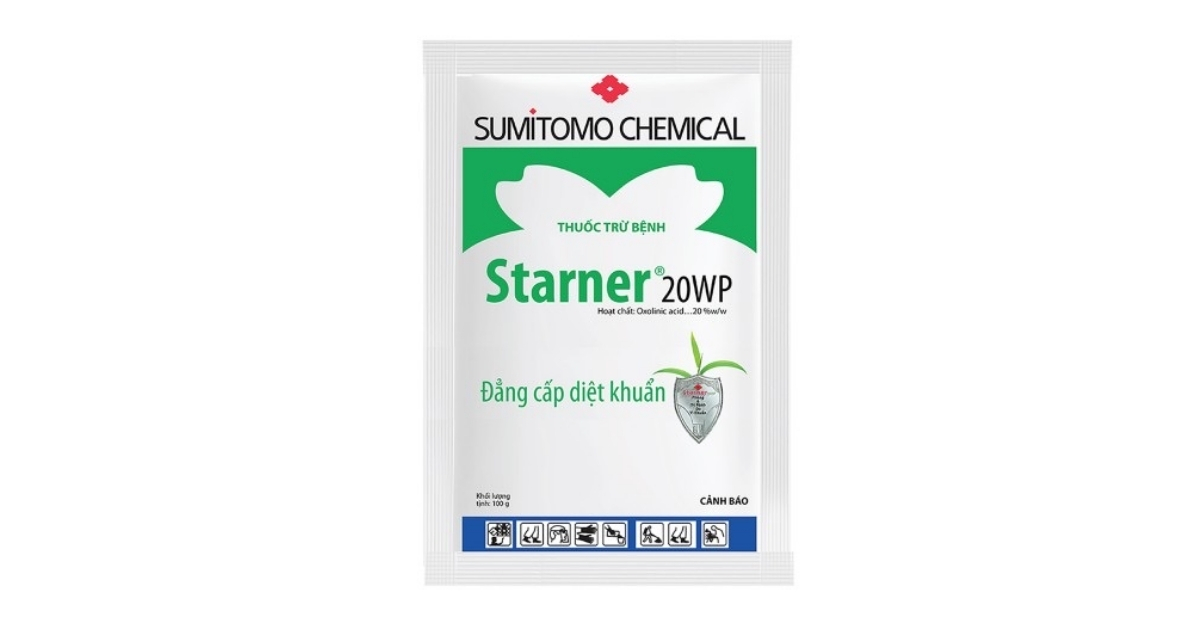 Starner 20WP