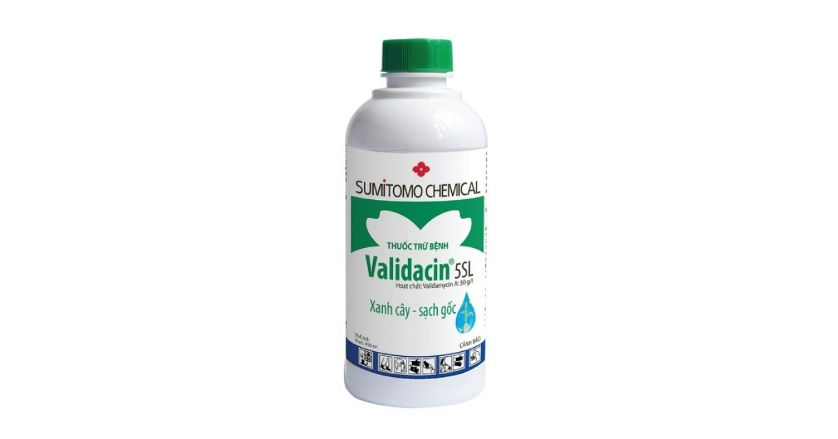Validacin 5SL