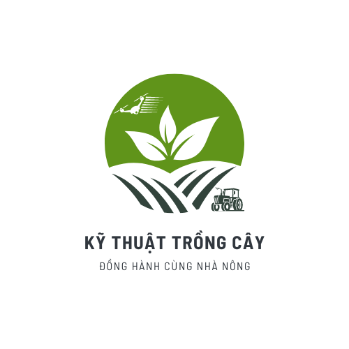 Logo Kỹ Thuật Trồng Cây
