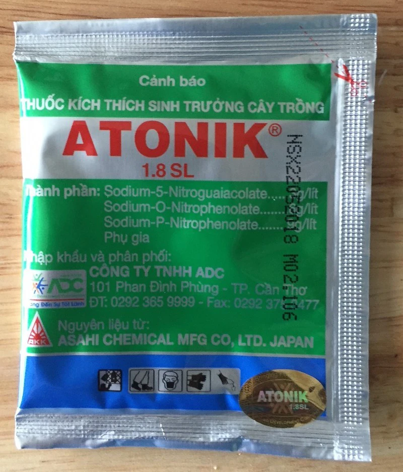 Sử dụng atonik Kích rễ cho cây mai 