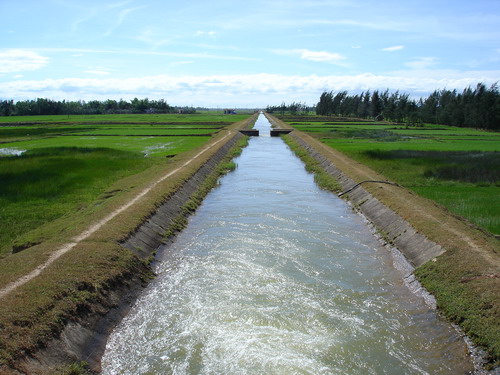 cai tao phen bang nuoc