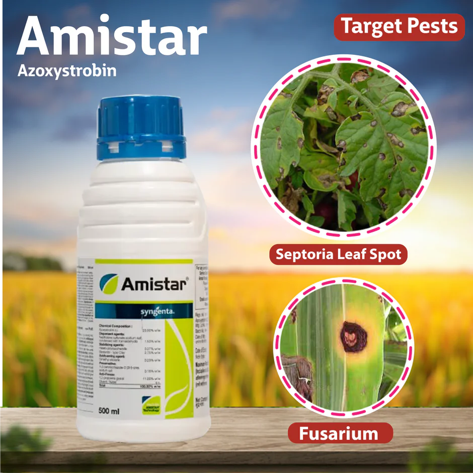 Amistar syngenta