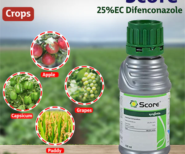 score syngenta