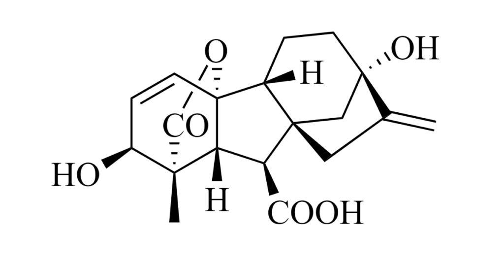 Gibberellin