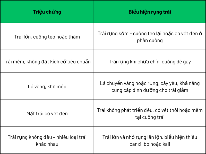Dấu hiệu nhận biết rụng do thiếu dinh dưỡng