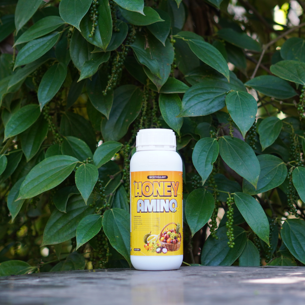 Honey Amino 5