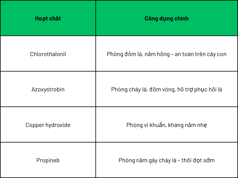 Thuốc phòng bệnh trên tán lá – đọt non sầu riêng