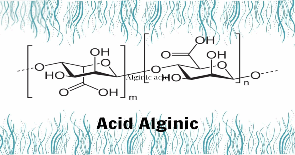 Alginic acid resized