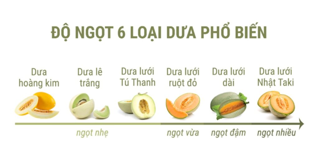 Cách xác định thời điểm thu hoạch dưa lưới chuẩn cho từng giống