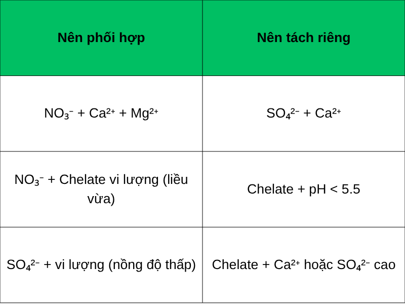 Sự tương tác giữa Nitrate - Sulphate - Chelate và ảnh hưởng tới hấp thu dinh dưỡng của cây trồng