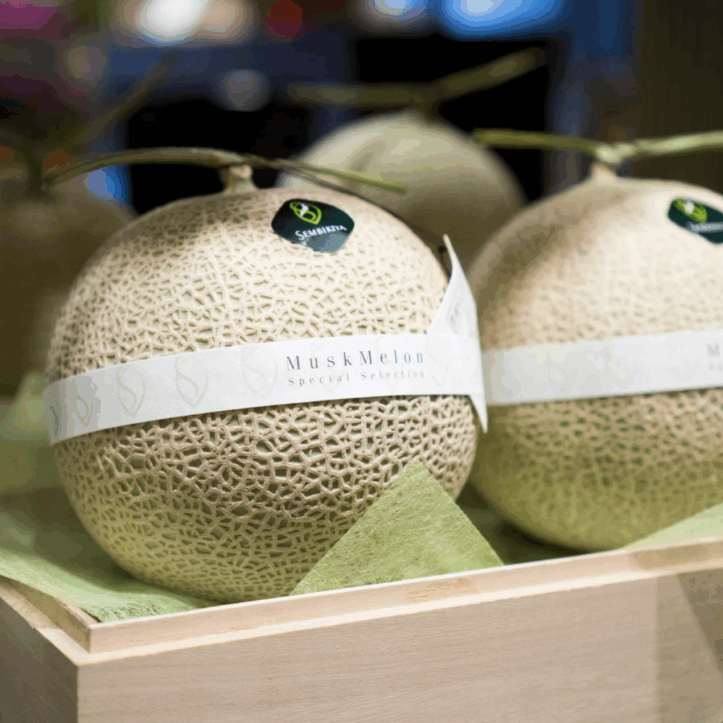 Thị trường dưa lưới