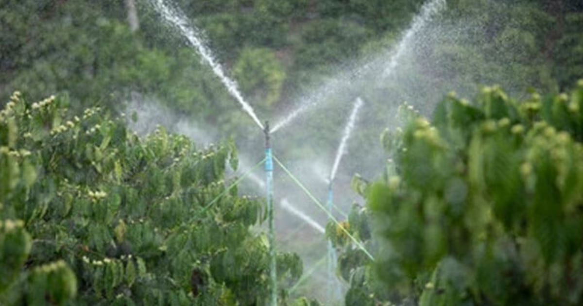 Thiết lập hệ thống tưới cà phê tự động