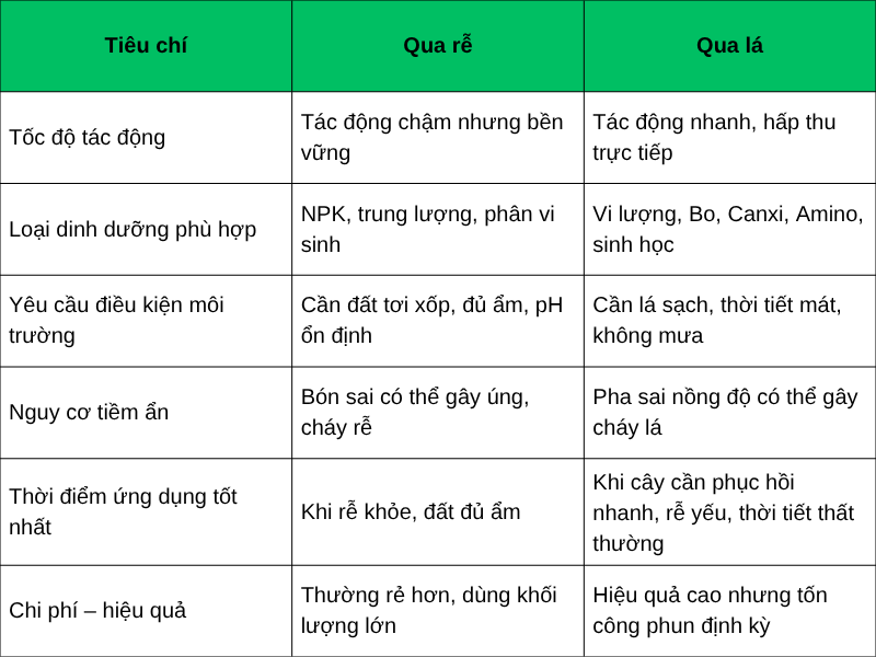 So sanh uu nhuoc diem giua hai hinh thuc hap thu dinh duong o cay ca chua