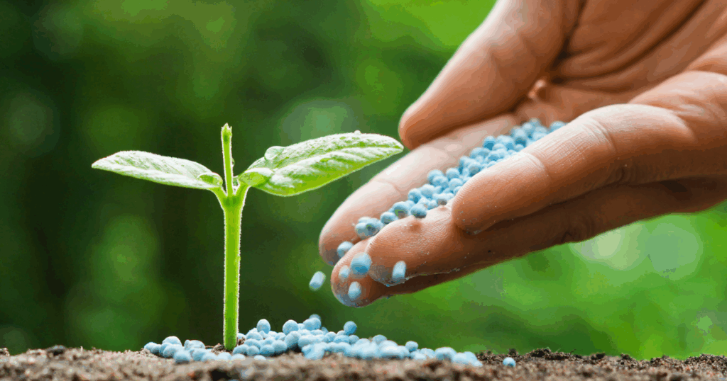 Vai trò của Bo đối với cây trồng
