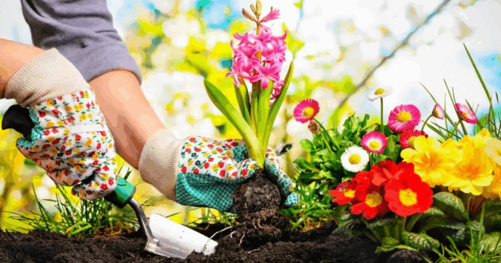 Vì sao nên tránh pha Silic với Canxi khi bổ sung dinh dưỡng cho cây