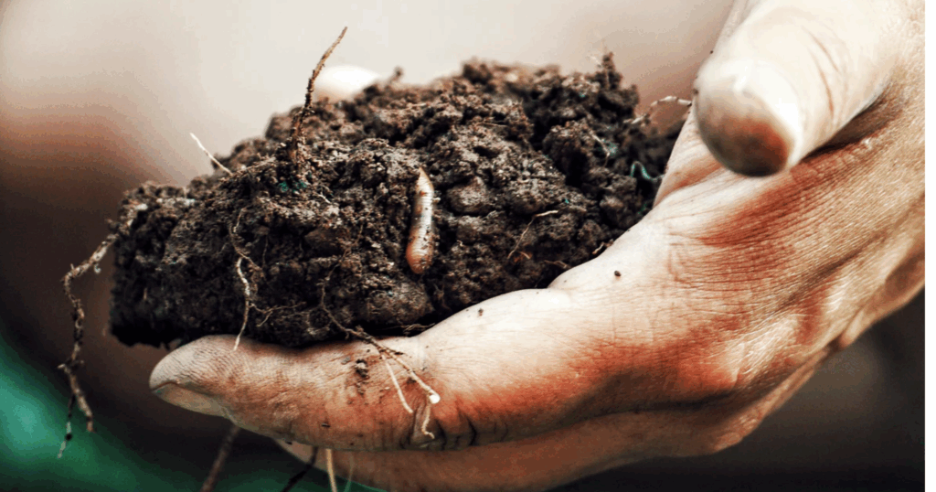 Cơ chế Fulvic acid gắn kết vi lượng trong đất