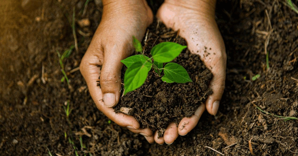 Fulvic acid Vì sao được gọi là chất vận chuyển dinh dưỡng tự nhiên