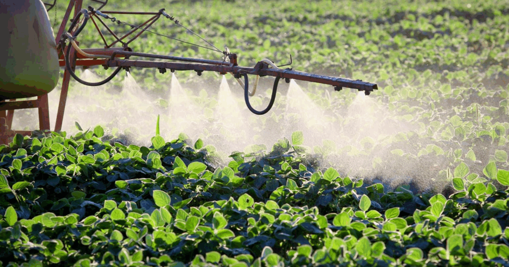 Kỹ thuật phun phân bón lá để cây hấp thu tối đa 2 Kỹ thuật phun phân bón lá để cây hấp thu tối đa