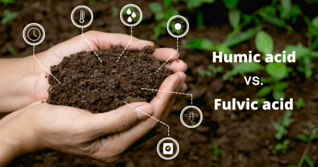 Phân biệt Humic - Fulvic - Humin