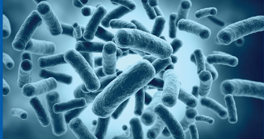 Các chất kháng sinh tự nhiên do Bacillus subtilis sản sinh 1 Các chất kháng sinh tự nhiên do Bacillus subtilis sản sinh