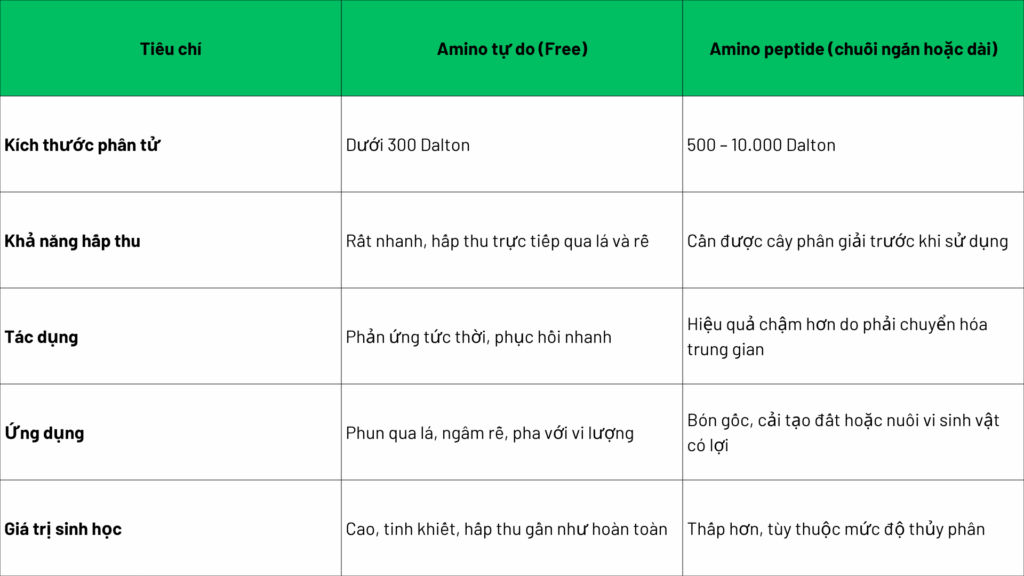 So sánh Amino tự do và Amino peptide