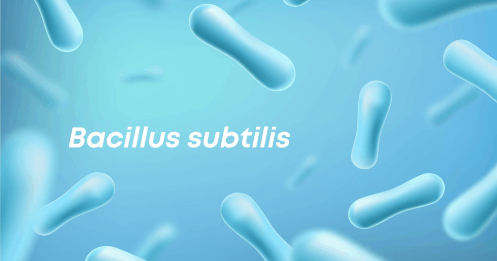 Cơ chế kháng sinh học và enzyme của Bacillus subtilis 1 Cơ chế kháng sinh học và enzyme của Bacillus subtilis