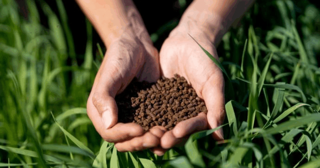 Hướng dẫn chọn dạng Humic phù hợp với mô hình canh tác