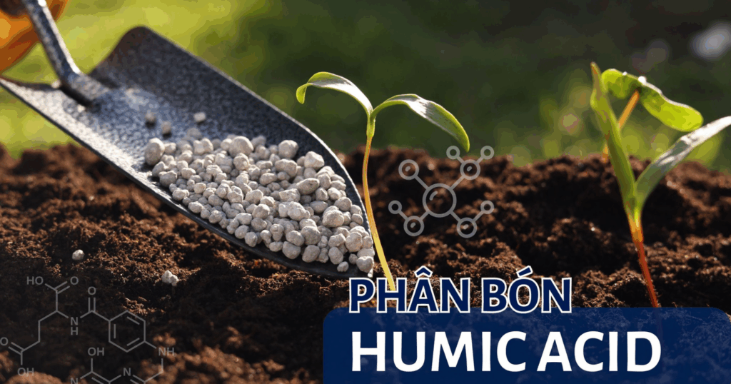 So sánh tác động của Humic acid trên các loại đất 5 So sánh tác động của Humic acid trên các loại đất