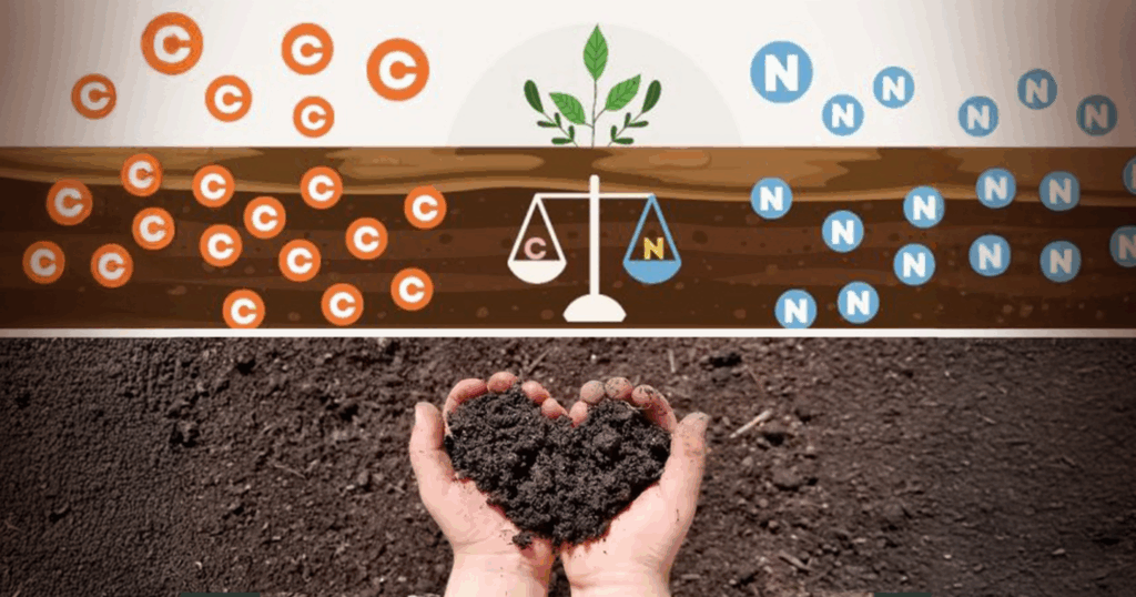 Tỷ lệ CN và ảnh hưởng đến hướng sinh trưởng của cây trồng