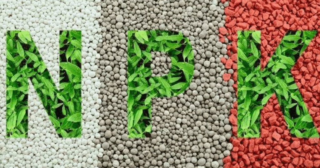 Vai trò của Humic acid trong tăng hiệu quả phân bón NPK - trung - vi lượng 7 Vai trò của Humic acid trong tăng hiệu quả phân bón NPK - trung - vi lượng