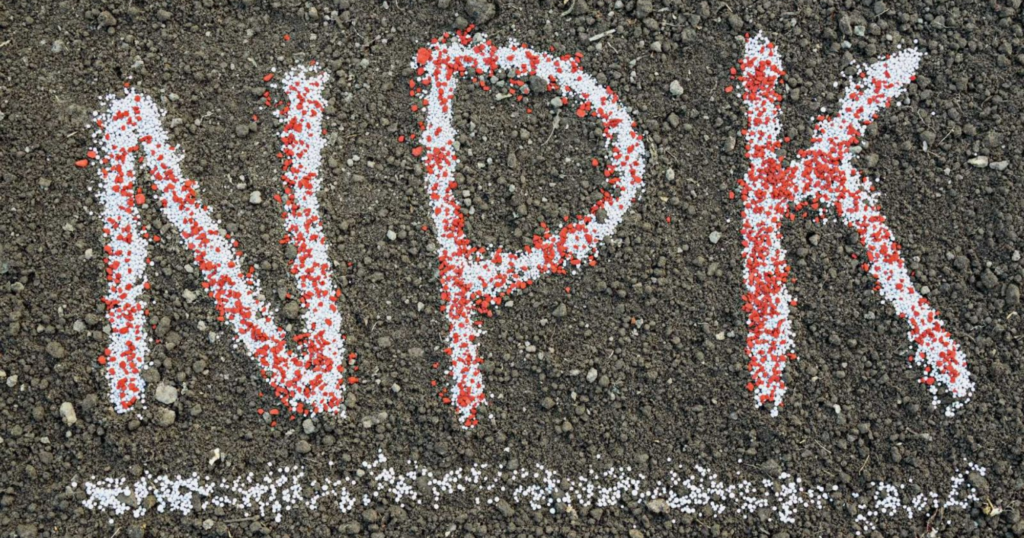 Hướng dẫn phối hợp phân NPK để tăng hiệu quả hấp thu