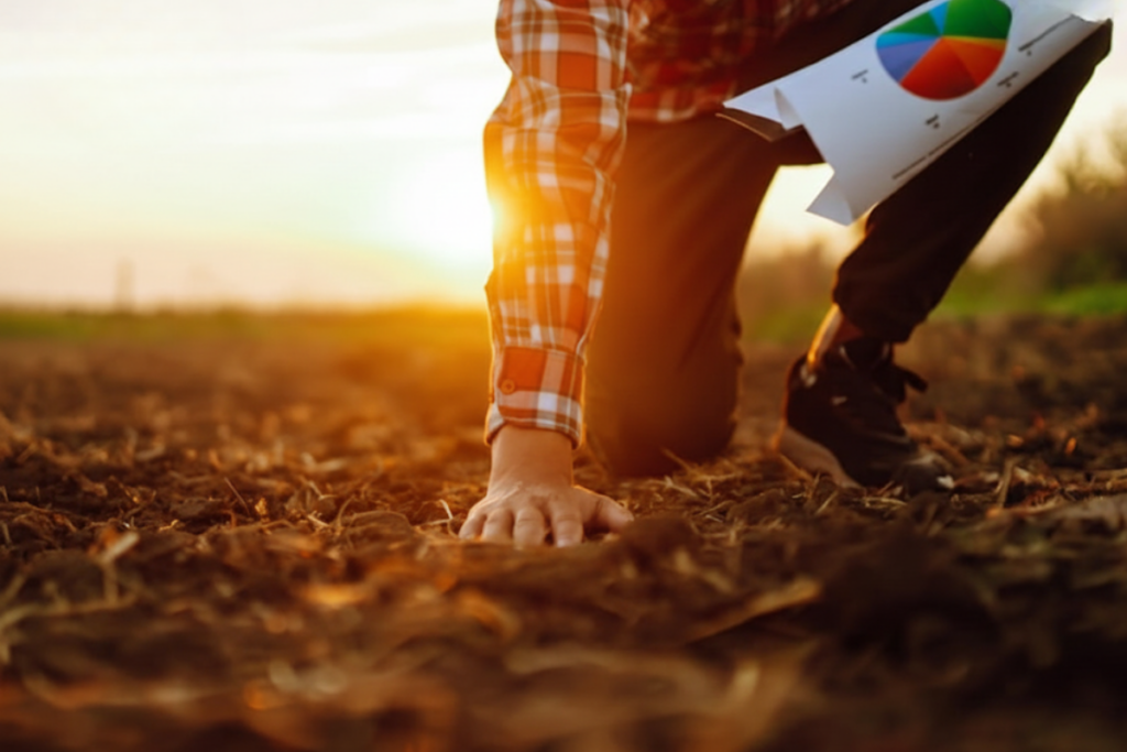 Tiêu chí đánh giá chất lượng của phân hữu cơ