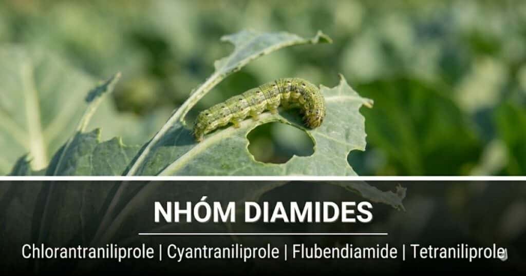 Thuốc trừ sâu nhóm Diamides