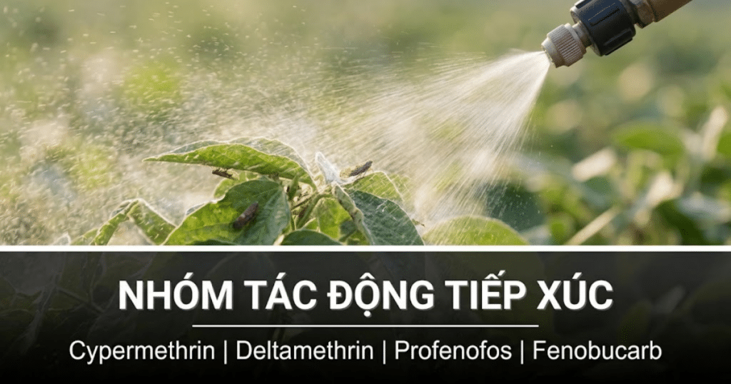 Thuốc trừ sâu tác động tiếp xúc