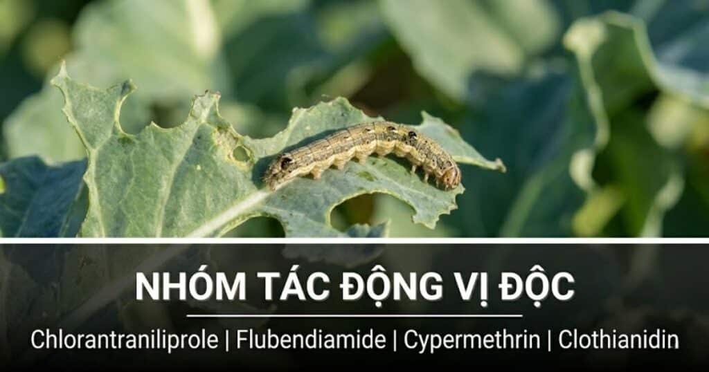 Thuốc trừ sâu tác động vị độc