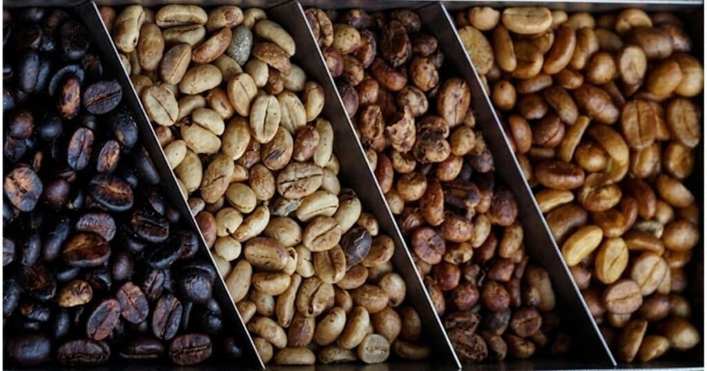 Ảnh hưởng của đặc tính giống cà phê đến hiệu quả các phương pháp sơ chế Natural, Washed và Honey.