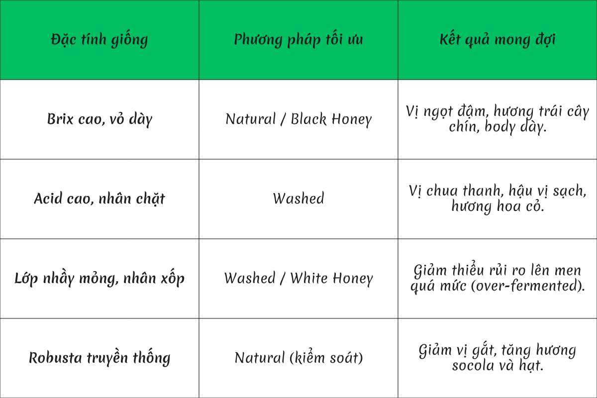 Bảng đối chiếu sự tương thích giữa giống và phương pháp sơ chế