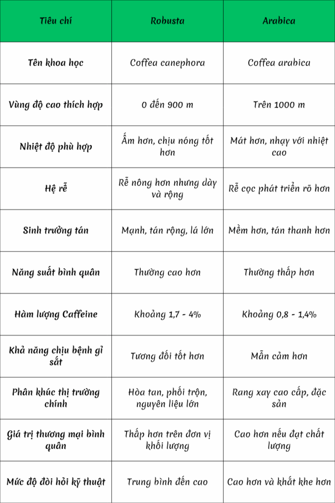 Bảng tổng hợp so sánh các chỉ số kỹ thuật Robusta và Arabica