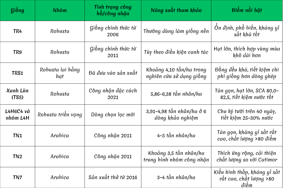 Các giống cà phê năng suất cao