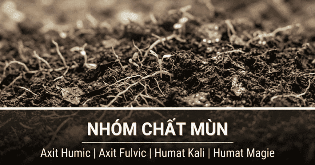 Nhóm chất mùn